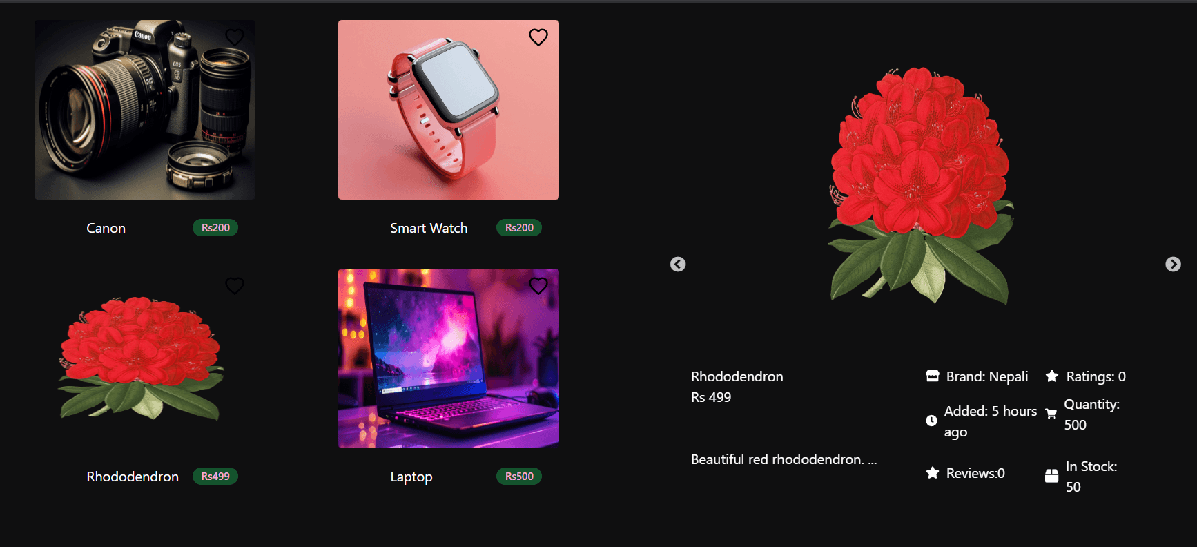 Ecommerce Website